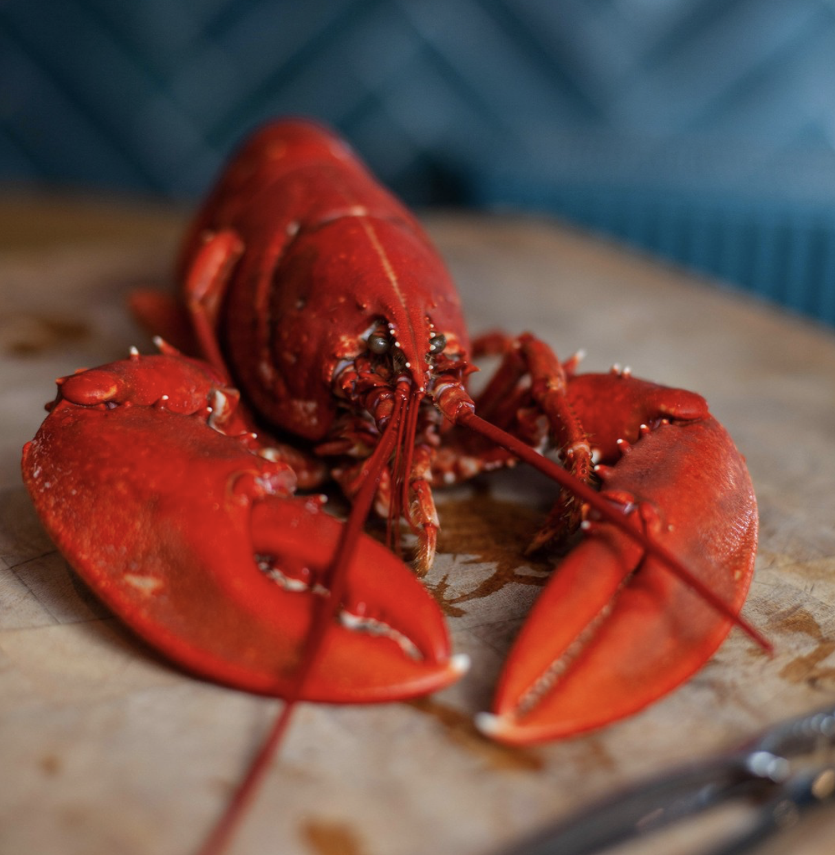 Gamba