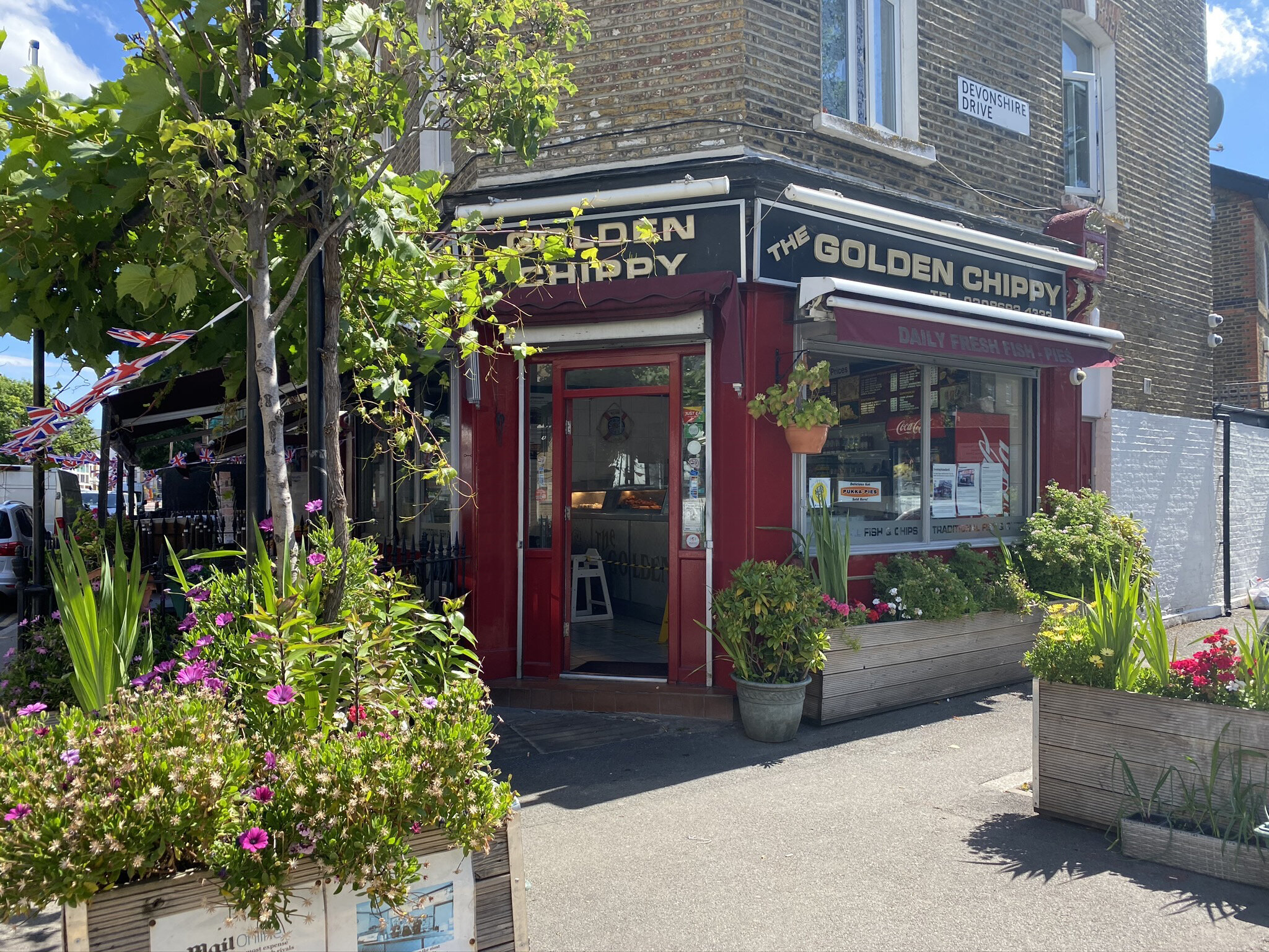 Golden Chippy