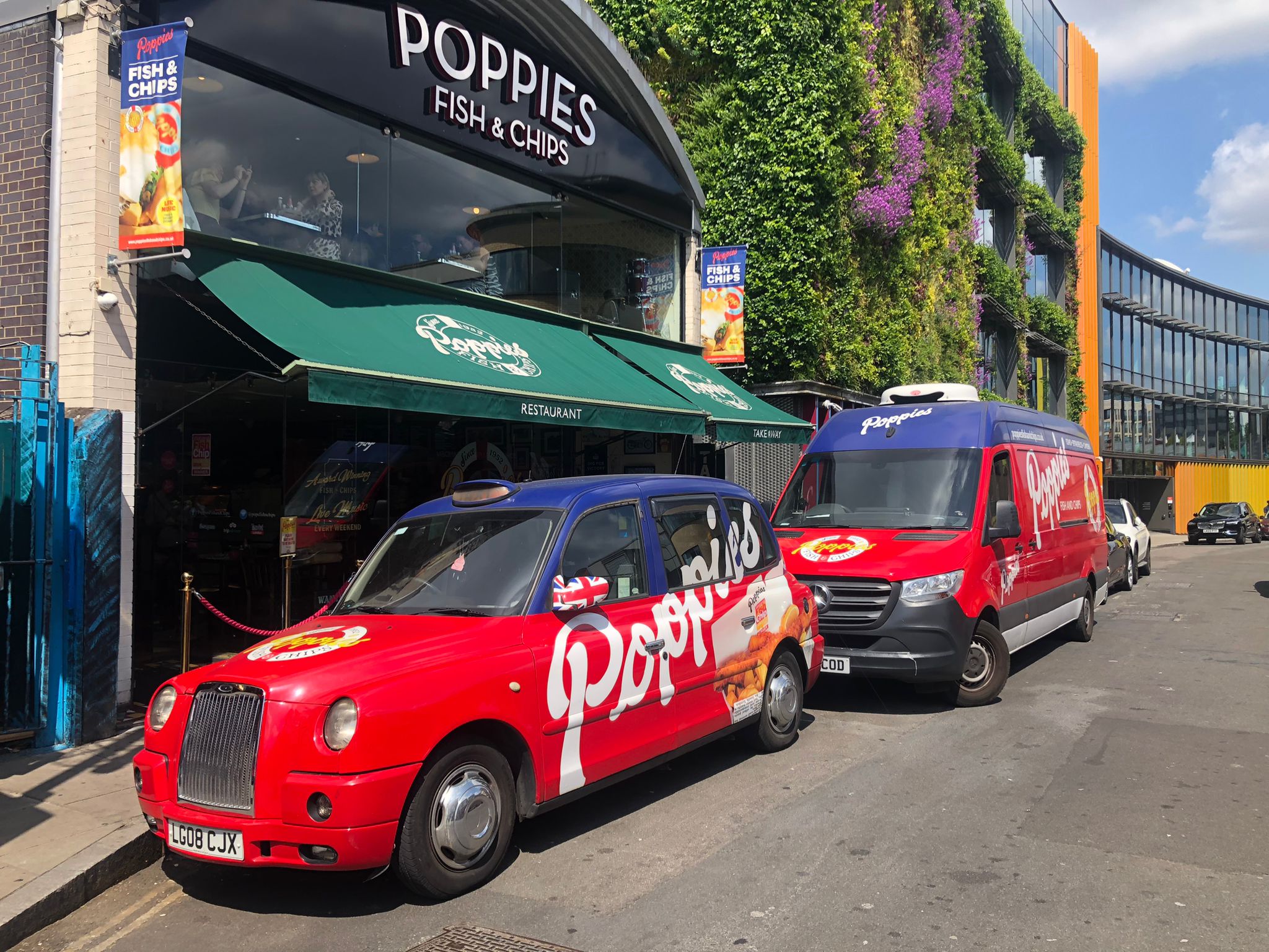 Poppies of Camden